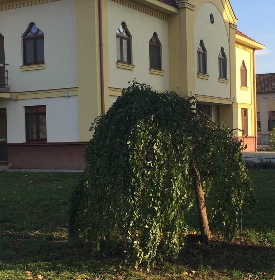 Mamre Szallo Hajduboszormeny Ngoại thất bức ảnh